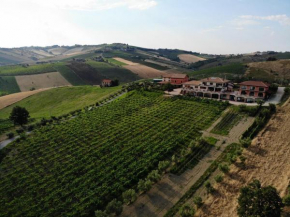 Отель Agriturismo Emidio Pepe  Тарано Нуово